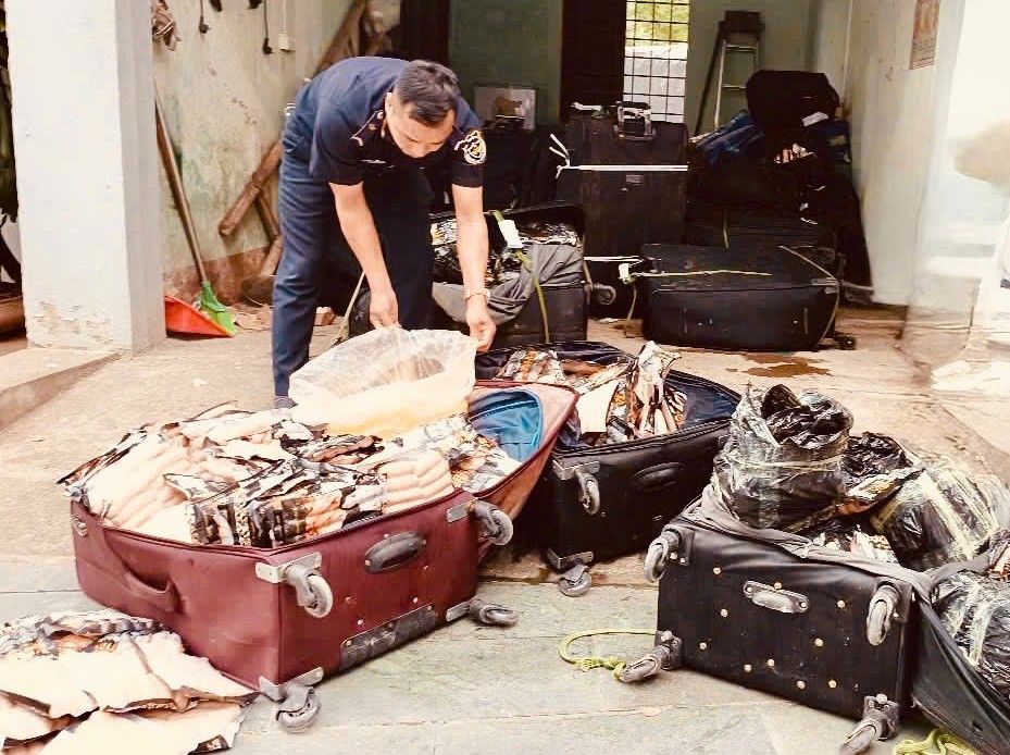 Hơn 1,8 tấn thực phẩm đ&ocirc;ng lạnh nhập lậu bị Hải quan chặn đứng tại bi&ecirc;n giới ph&iacute;a Bắc